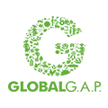 logo4